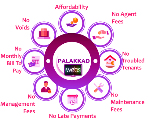 Palakkad websites Creators
